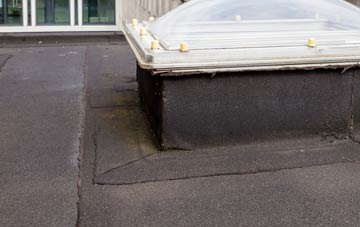 disadvantages of Downton flat roofs