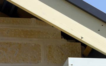 soffit repair Downton